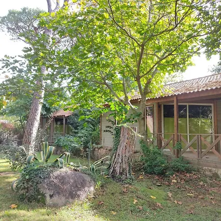 Arutoli 维琪奥港