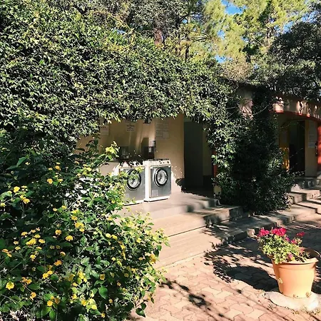 Campsite Arutoli 3*