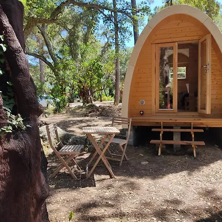 营地 Arutoli 维琪奥港