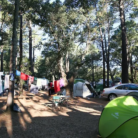 Campsite Arutoli Porto-Vecchio (Corsica)