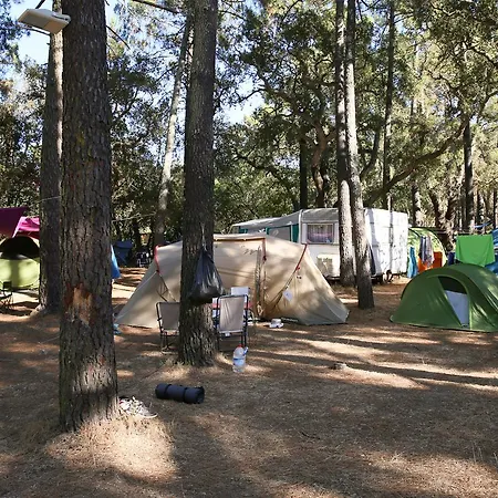 Arutoli 维琪奥港