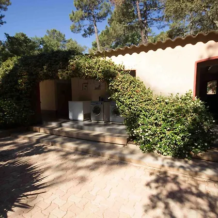 Arutoli 维琪奥港