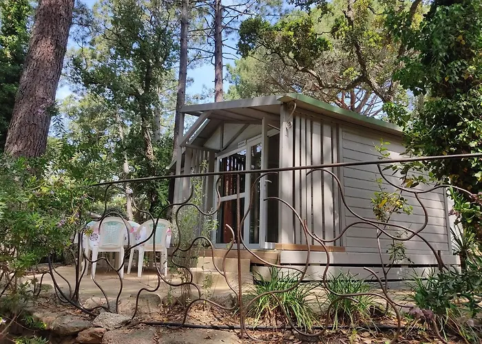 Arutoli Kamp alanı Porto-Vecchio (Corsica)