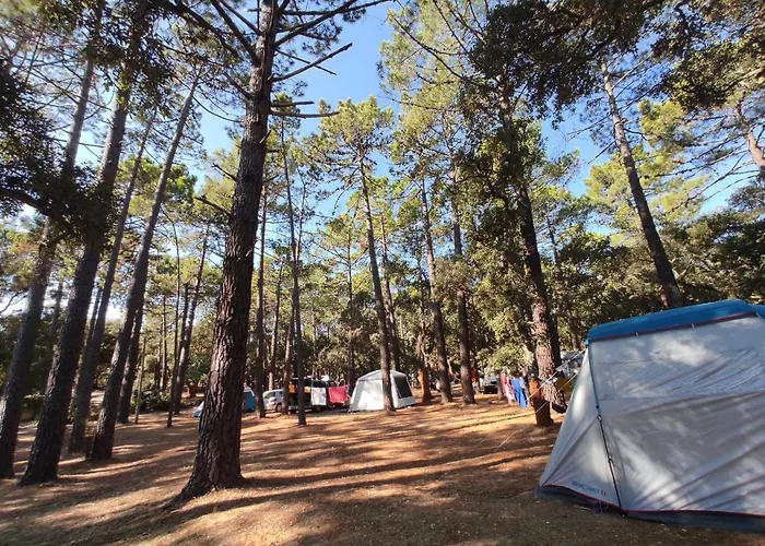 Kamp alanı Arutoli 3*