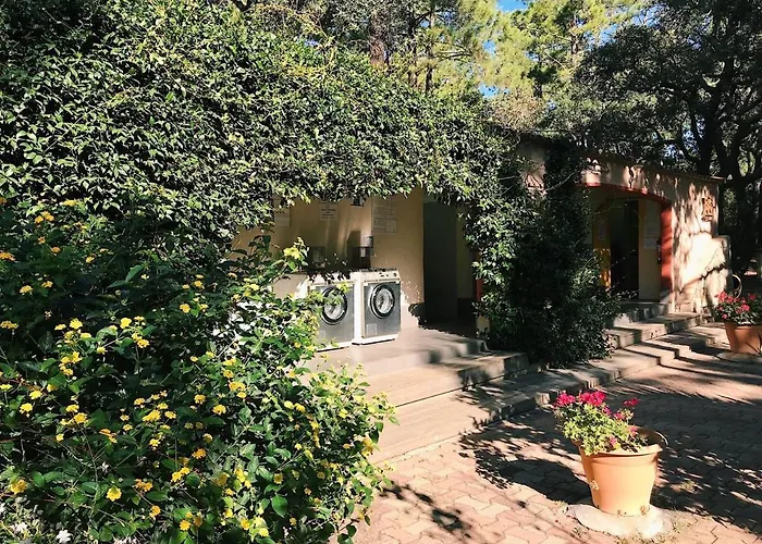 Kamp alanı Arutoli 3*