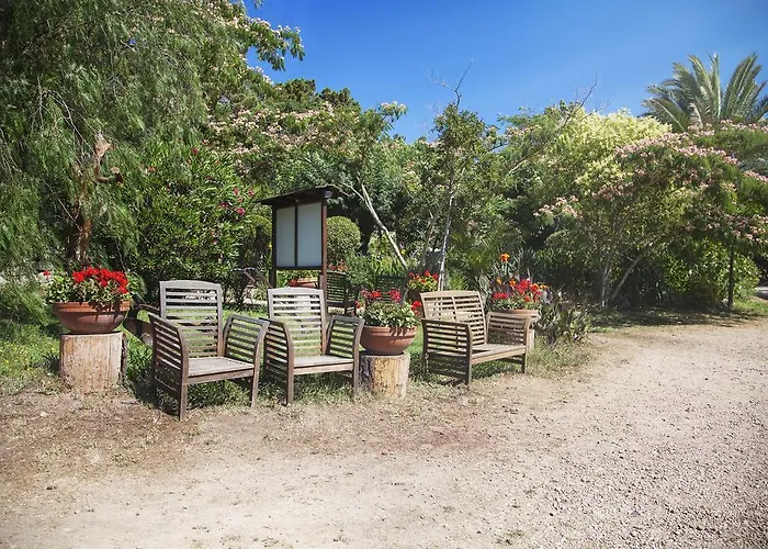 Arutoli Kamp alanı Porto-Vecchio (Corsica)