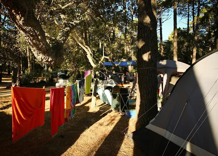 Kamp alanı Arutoli 3*